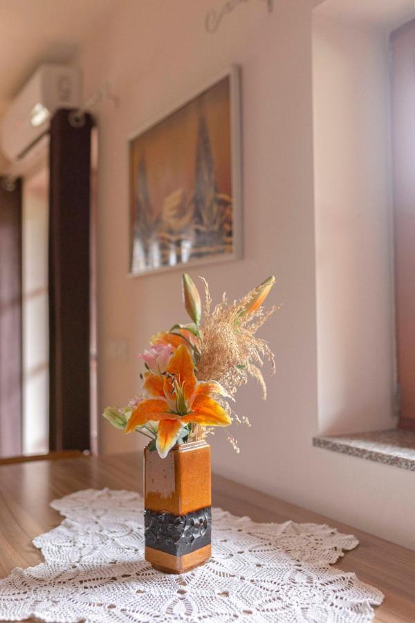 Apartma Metka เมดโวเด ภายนอก รูปภาพ